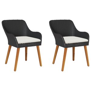 vidaXL Chaise de jardin 2 pc Noir polyrotin