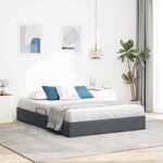 vidaXL Lit de Rangement avec stockage Gris foncé 135 x 190 cm Velours