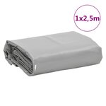 vidaXL Bâche gris 1x2 5 m 650 g/m²