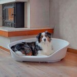 Panier-Corbeille Siesta Deluxe Taille 10 - 93 5 x 68 x 28 5 cm - Gris foncé