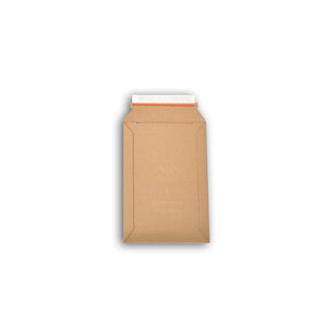 Lot de 10 enveloppes carton wellbox 1 format 176x270 mm