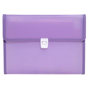 Trieur à soufflets 13C Chroma ass x 5 EXACOMPTA