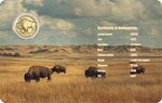 Pièce de monnaie en Or 30 Dollars g 0.155 (1/200 oz) Millésime 2026 AMERICAN BUFFALO 1/200 (PRÉCOMMANDE)