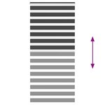 vidaXL Store zèbre noir 100x200 cm largeur du tissu 95 9 cm polyester