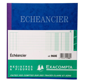 Piqûre 21x19cm échéancier tracé journal 80 pages EXACOMPTA