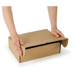 Boîte carton brune avec fermeture latérale 21 5x15 5x10 cm (lot de 20)