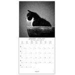 Grand calendrier mural 29x29  cm - 2024 - Chats noir et blanc - Draeger
