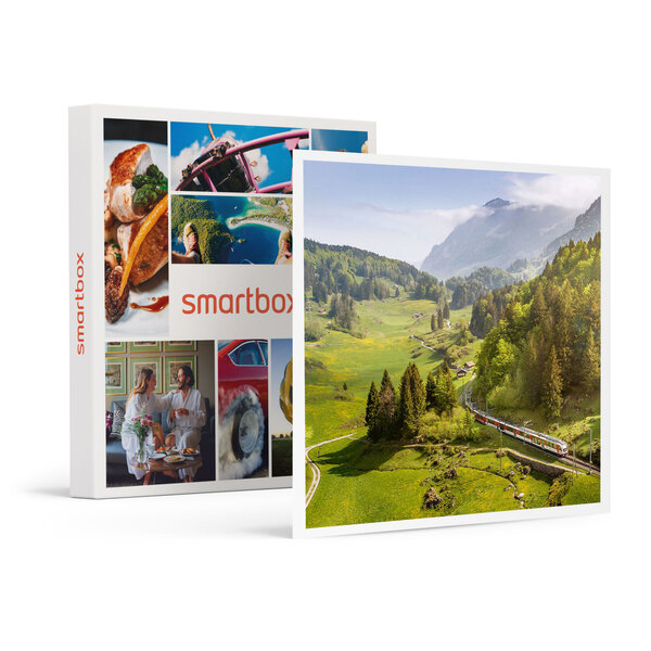 SMARTBOX - Coffret Cadeau L'Europe en train : pass Interrail de 15 jours en 1re classe -  Sport & Aventure