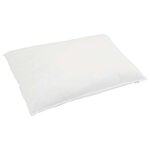 vidaXL Ensemble de Duvet avec oreiller 3 pc Blanc Plume de canard