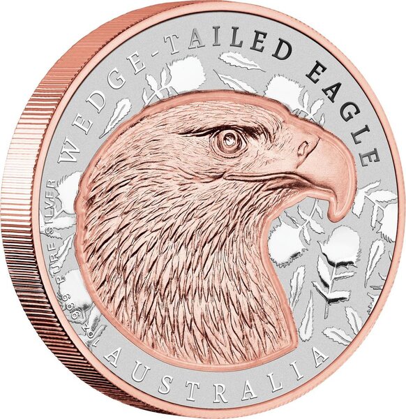 Pièce de monnaie en Argent 2 Dollars g 31.1 (1 oz) Millésime 2026 Native Impressions WEDGE-TAILED EAGLE