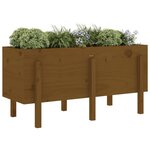 vidaXL Lit surélevé de jardin brun miel 121x50x57cm bois de pin massif