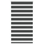 vidaXL Store zèbre noir 80x100 cm largeur du tissu 75 9 cm polyester