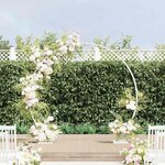 vidaXL Arche de mariage Blanc 220 x 45 x 200 cm Acier