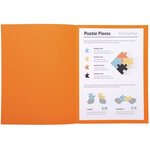 Paquet de 100 chemises 'JURA 250' en carte 240 grammes orange EXACOMPTA