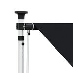 vidaXL Auvent rétractable manuel Noir 400 cm