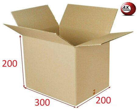 Lot de 10 boîtes carton emballage caisse carton 300 x 200 x 200 mm solide norme galia a15