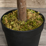 Arbre artificiel plante artificiel Alstonia scholaris hauteur 1 2 m tronc branches lichen 693 feuilles grand réalisme pot inclus