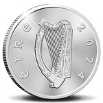 Pièce de monnaie 15 euro Irlande 2024 argent BE - Forces de défense