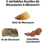 NATIONAL GEOGRAPHIC - Kit de fouille - 3 fossiles de dinosaures a extraire