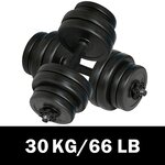 vidaXL Haltères 2 x 15 kg