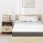 vidaXL Coussins de Matelas Blanc 120 x 200 cm