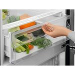 Electrolux lnt5mf36u0 - réfrigérateur congélateur bas - 360l (266+94)- froid ventilé - no frost - h201 x l60cm - inox