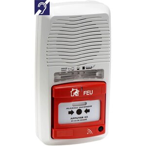 Alarme type 4 radio avec flash