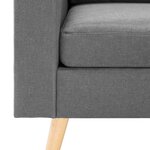 Vidaxl ensemble de canapés 2 pièces tissu gris clair