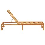 vidaXL Transat 1-personne Marron 53 x 202 x 89cm Bois d'acacia massif