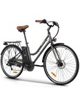 Wegoboard - vélo cityzen + 1 batterie supplémentaire (jusqu'à 120 km d'autonomie) - gris