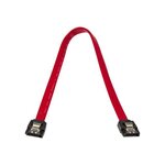 Startech.com câble sata avec verrouillage 30 cm