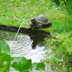 Ubbink fontaine de jardin à cracheur tortue