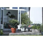 ELHO Bac a terrasse Vibia 80 - Gris béton vivant - Extérieur - L 34,2 x W 77,4 x H 33,2 cm