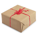 Papier cadeau kraft couleur acidulée 0,7 cm x 100 m