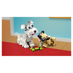 31137  les Adorables chiens