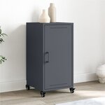 vidaXL Buffet anthracite 36x39x72 cm acier laminé à froid
