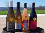 SMARTBOX - Coffret Cadeau Cours d’œnologie d’1h45 au domaine Joseph Lafarge en Bourgogne -  Gastronomie