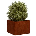 vidaXL Jardinière rouillé 40x40x30 cm acier inoxydable