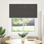 vidaXL Store plissé noir 120x100 cm largeur du tissu 119 4cm polyester