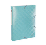 Boite de classement carte lustrée gaufrée pelliculée 1928 - dos de 40mm - a4 - x 8 - exacompta