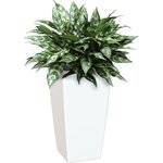 ARTEVASI - Pot pisa auto-arrosage 60cm blanc 33 x 33 x h61 cm - 4,42l