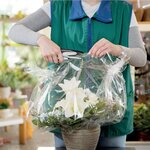 Pince Agrafeuse Eco 24/6 - 26/6 Noir/Gris lumière RAPID