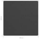 vidaXL Tapis de tente 200x200 cm Anthracite