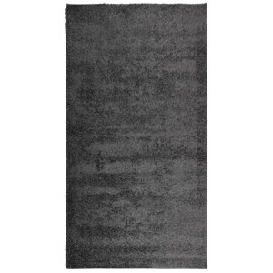 vidaXL Tapis shaggy PAMPLONA poils longs moderne anthracite 80x150 cm