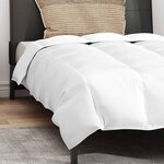 vidaXL Couette Autre avec oreiller 2 Pièces Blanc 155 x 220 cm Bas