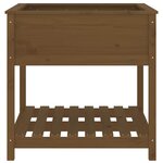 vidaXL Jardinière avec étagère Marron miel 82 5x82 5x81 cm Bois de pin