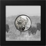 Pièce de monnaie en Argent 500 Togrog g 31.1 (1 oz) Millésime 2025 Wild Mongolia BISON