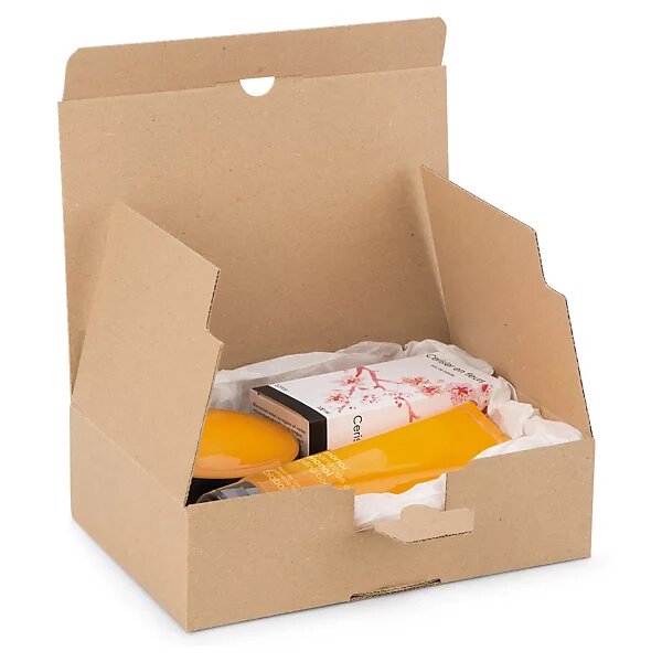 Boîte carton brune d'expédition à montage instantané 31x22x15 cm (lot de 20)