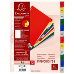 Intercalaires Imprimés Mensuels Pp Couleurs Janv-décembre - A4 - Couleurs Assorties - X 20 - Exacompta