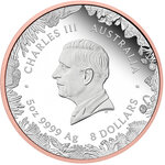 Monnaie KANGAROO Wonders of Australia 5 Oz Argent 8$ Australia 2026